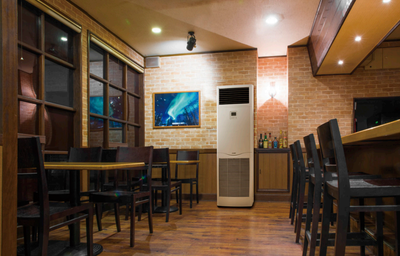 Колонный внутренний блок мульти сплит-системы Mitsubishi Electric PSA-M140KA